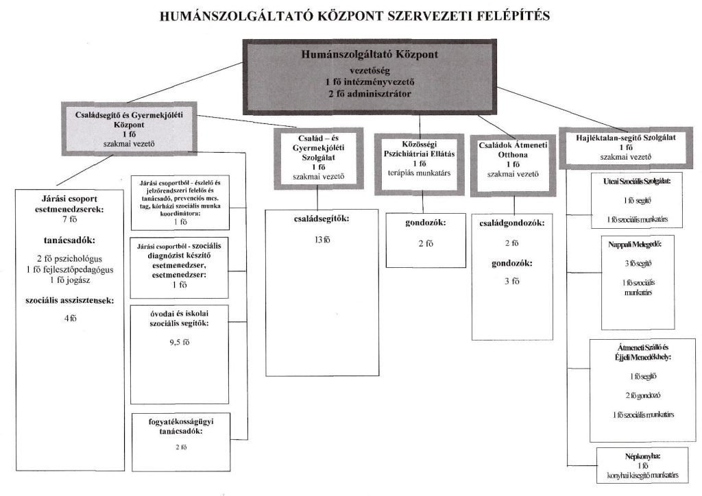 Organogram - szervezeti felépítés